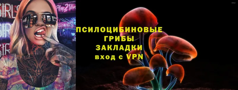 Псилоцибиновые грибы Psilocybine cubensis  купить   Шебекино 